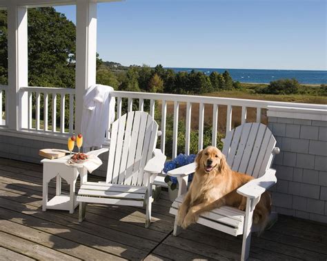 pet friendly hotels in hampton va|The 10 best pet